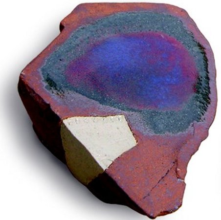 Guizol roche 25-30 cm environ